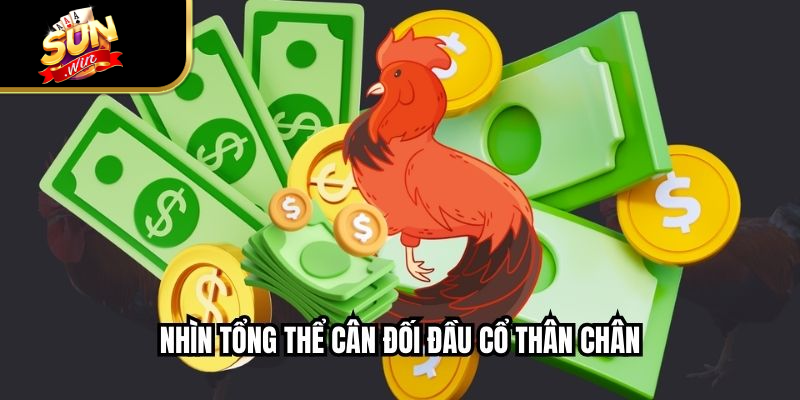 Nhìn tổng thể cân đối đầu cổ thân chân