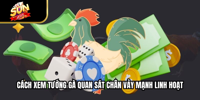 Cách xem tướng gà quan sát chân vảy mạnh linh hoạt