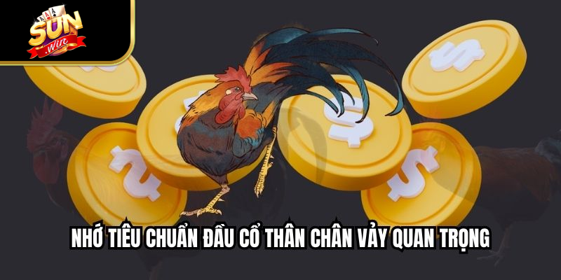 Nhớ tiêu chuẩn đầu cổ thân chân vảy quan trọng